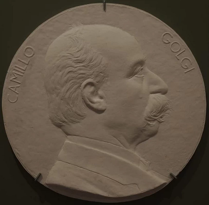 Camillo Golgi - Museo Giorgio Kienerk, Fauglia, Pisa